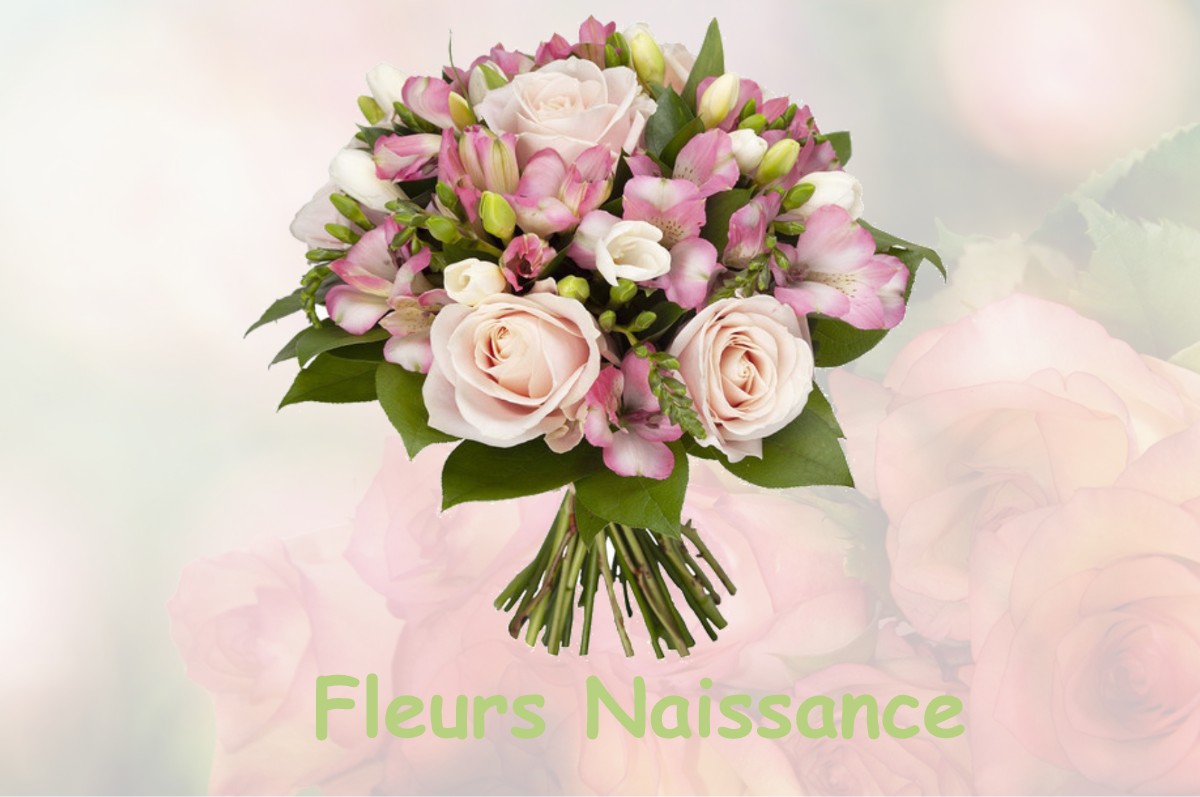 fleurs naissance LA-VILLE-AUX-DAMES